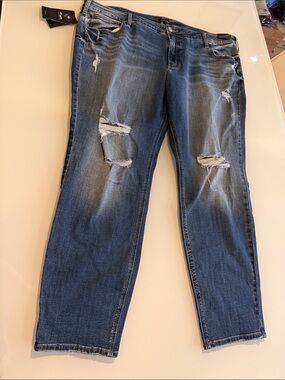 Silver Distressed Mid-Blue Women’s Jeans - size 24W/29